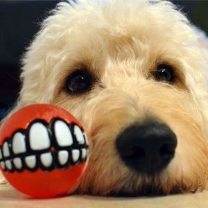 Meet your Posher, Joel